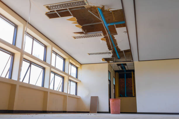 Best Commercial Water Damage Restoration in Altamont, TN